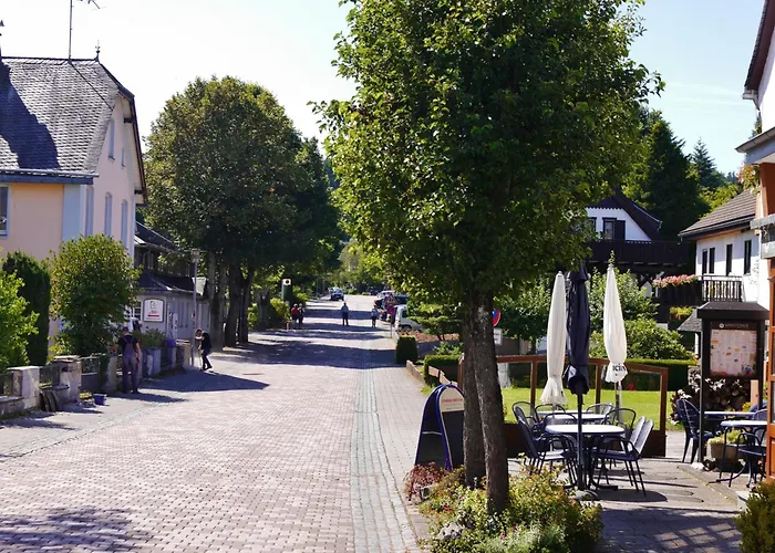 Апартаменты Happynest*** Mit Hallenbad Виллинген