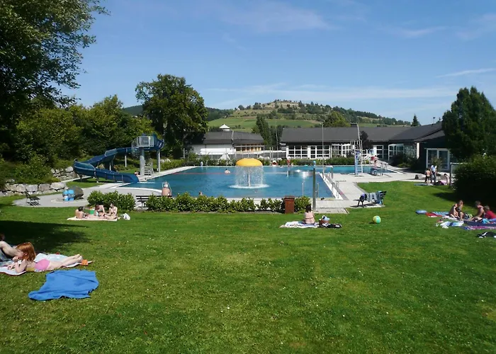 Апартаменты Happynest*** Mit Hallenbad Виллинген