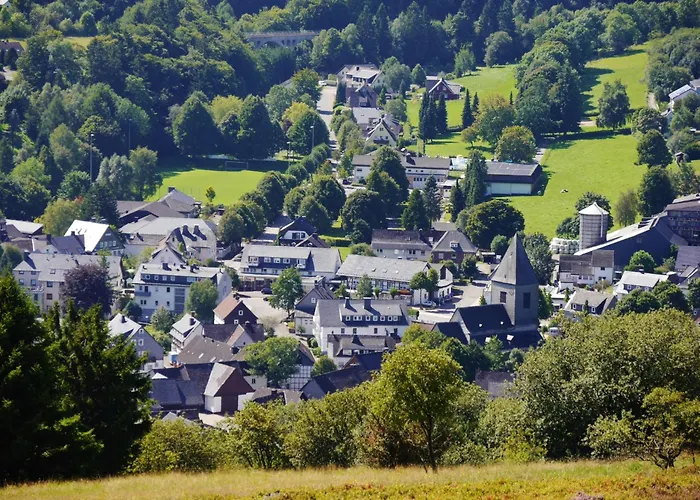 Апартаменты Happynest*** Mit Hallenbad Виллинген